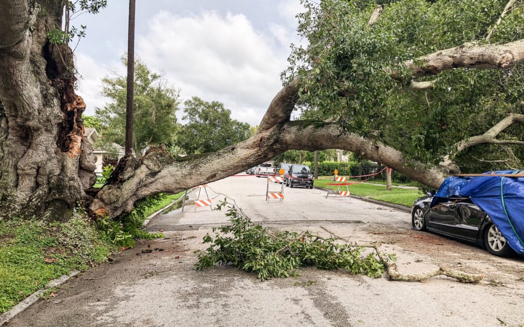 From Katrina to Now: How We Keep Failing The Test